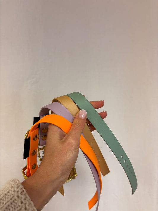 Bunte Biothane Halsbänder